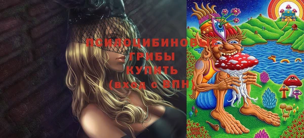 дурь Абаза