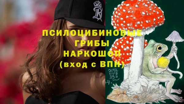 твердый Арсеньев