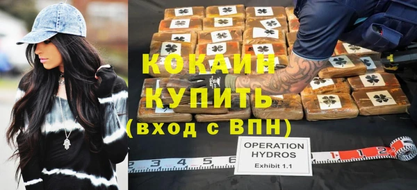 твердый Арсеньев