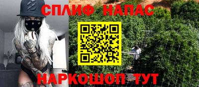 прущие грибы Жуковский