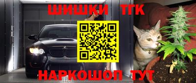 гидра Заволжье