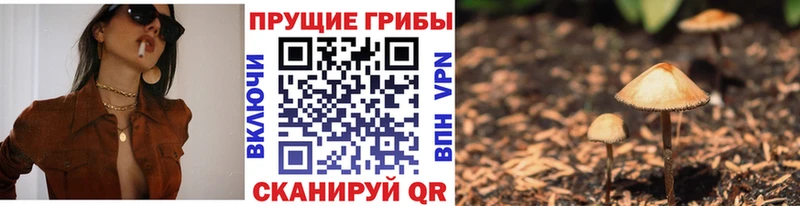 Псилоцибиновые грибы Psilocybe  Волгоград 