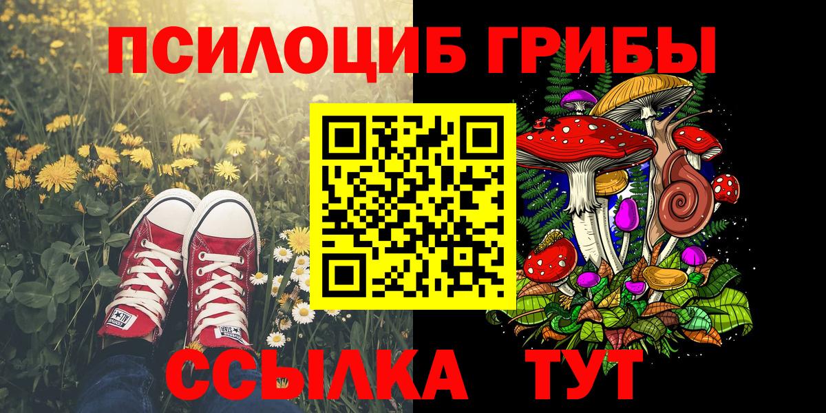 Волгоград  Псилоцибиновые грибы ЛСД  Вход с VPN 