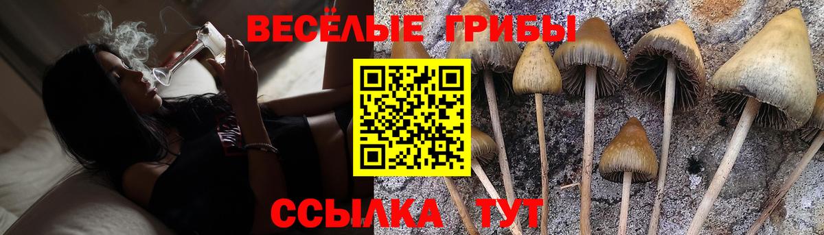 Псилоцибиновые грибы Cubensis Волгоград